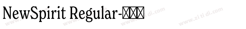 NewSpirit Regular字体转换
